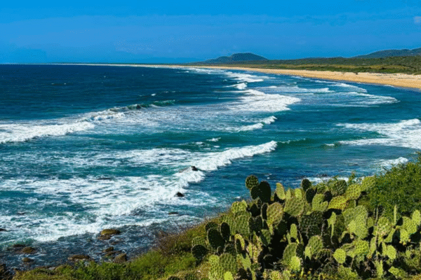 Costalegre: el santuario natural intacto de Jalisco
